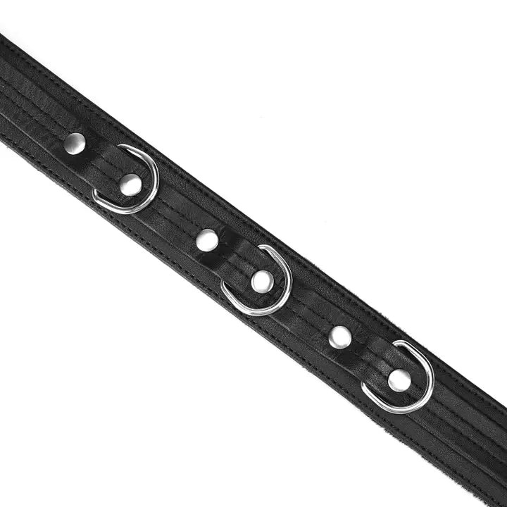 Black Bond Collar and Leash with Soft Lining